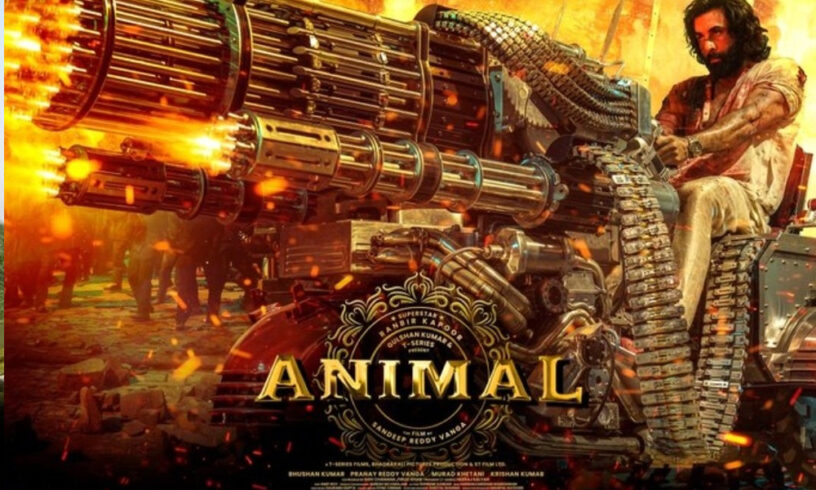 Animal Movie collections