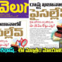 VELUGU PAPER ARTICLE ON STATE DEBTS